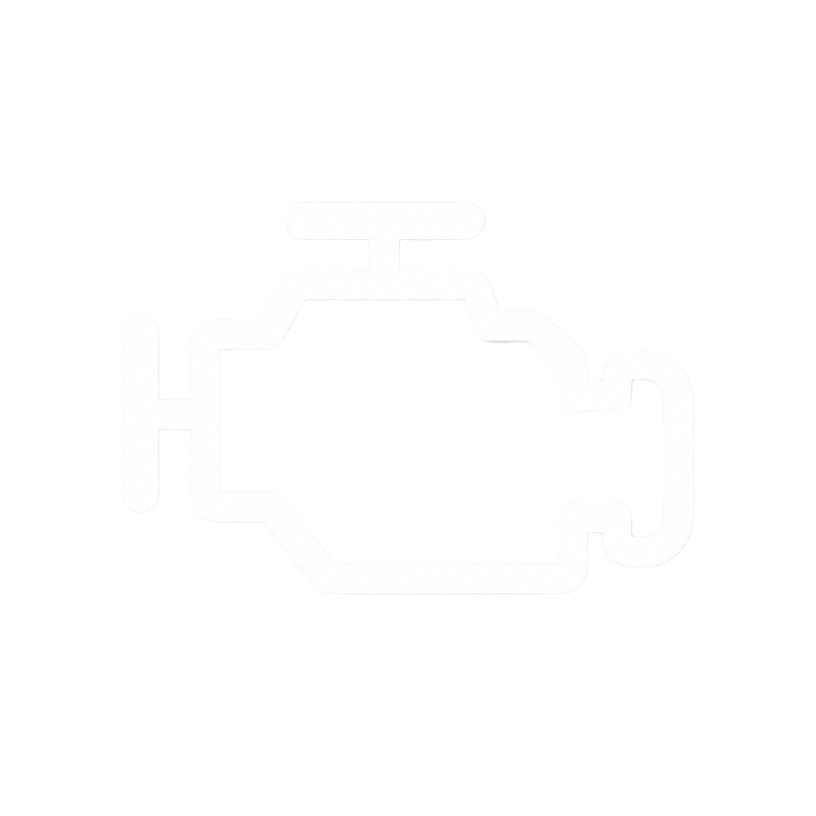 Check engine warning light